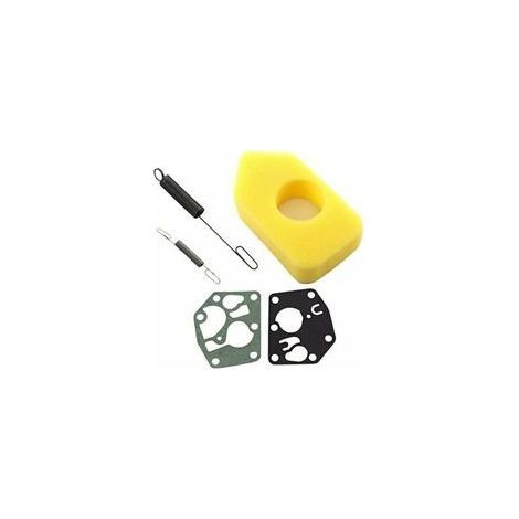 Luftfilterbaugruppe 698369, Reglerfeder 691859, Membran 495770, 795083 für Briggs & Stratton 3,5-4,5 PS Classic Sprint Quattro 450 500 550 Serienmotoren. (1/5)