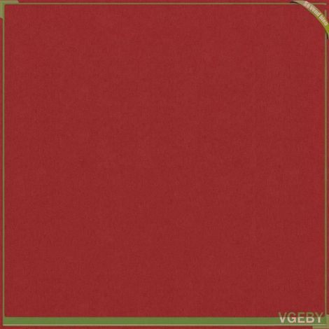 Écran de balcon - FAFEICY - 135043 - Rouge - Tissu Oxford enduit PU - 120x600 cm (1/4)