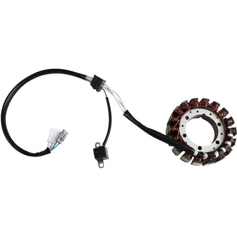 Stator de moteur 32101-31G01 32101-31G00 32101-31G02 Compatible avec Suzuki King Quad 700 (1/5)