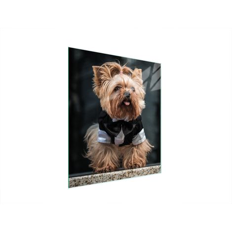 Glasschneidebrett 45x52 Hund