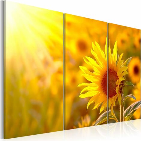 Tableau soleil et lumière - 120 x 80 cm