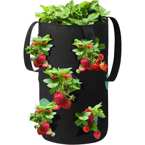 Bolsa para fresas con múltiples aberturas, bolsa colgante para plantar fresas, cesta de plantación de tela no tejida de 3 galones (12 agujeros) (1/5)