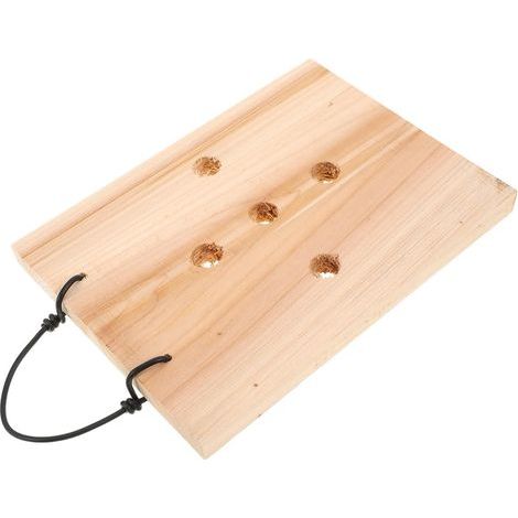 Pflanzbrett aus Holz Farnbefestigung Vertikaler Gartenhalter (1/5)