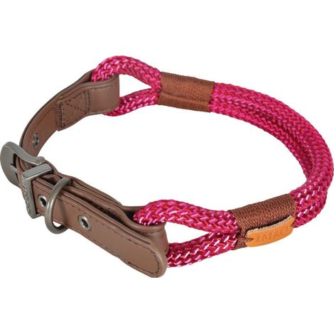 Collier IMAO 50 cm x 9 mm Hyde park  fuchsia pour chien - zolux (1/4)
