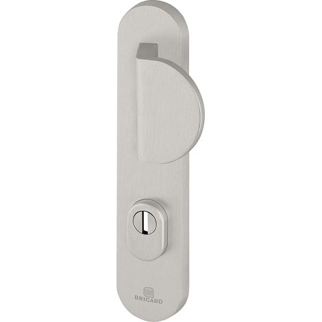 Ensemble de Poignées Blindées sur Plaque Essential Palière Béquille + Aileron pour Porte d’Entrée (pour Cylindre Européen), Coloris Argent (1/2)
