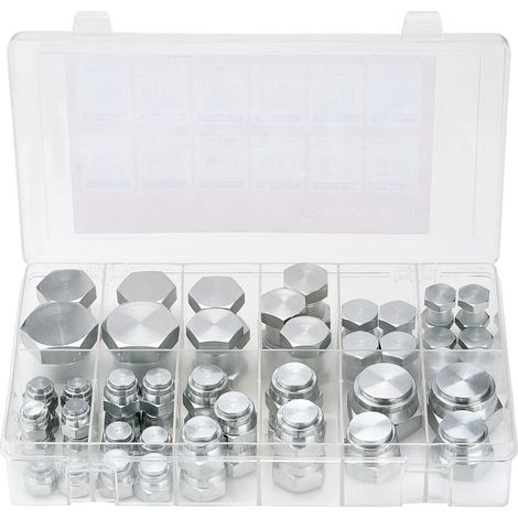 Mophorn Kit de raccords hydrauliques 64 pièces BSPP, bouchon et bouchon hydrauliques en acier galvanisé avec filetage de précision, tailles de tableau de bord 04-16 (1/5)