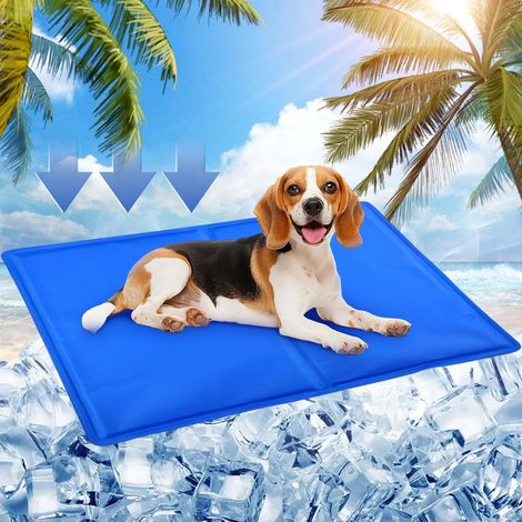 Couverture froide pour chats et chiens avec gel non toxique, 65 x 50 cm - Lit rafraîchissant rafraîchissant durable pour animaux de petite et moyenne taille en été - Bleu (1/5)