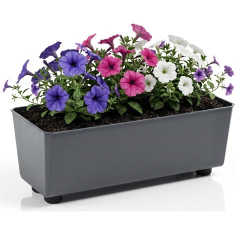 Jardinière Rectangulaire avec Pieds Élégants – Bac À Fleurs Anthracite en Plastique Robuste 37 x 17 cm, 6L – Résistant Aux Intempéries (1/5)