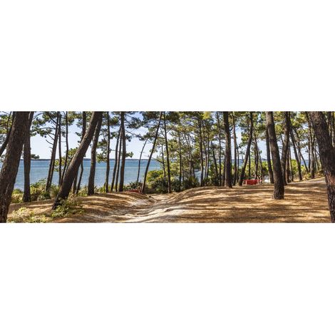Tableau sur toile forêt d'Arcachon 45x135 cm - Impression sur Toile Murale Décorative - Image imprimée en HD sur Toile - Toile sur Châssis en Bois FSC - Fabriqué en France