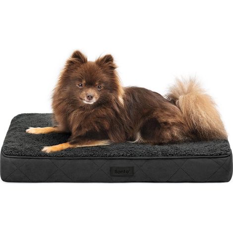 lionto orthopädisches Hundebett, 60x40x8 cm, für Hunde & Katzen, schwarz (1/5)