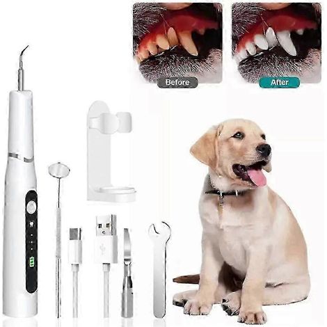 Brosse à dents ultrasonique pour animaux de compagnie avec 3 modes, rechargeable, pour éliminer la plaque dentaire chez les chiens et les chats (1/3)