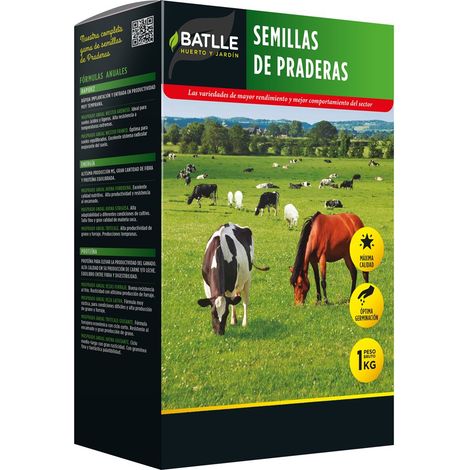 Semi di prato – Trebol Alessandria Bersim 1 kg – Batlle (1/3)