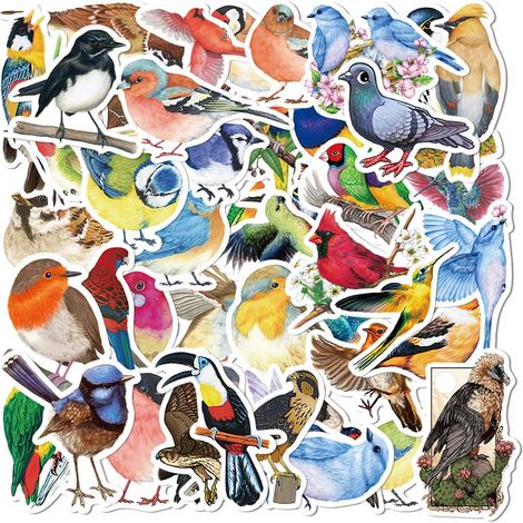 Sticker mural oiseau pour chambre, chambre d'enfant, salon (1/5)