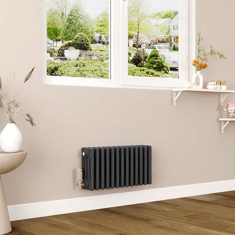 AICA 300x605mm Anthracite Horizontal Traditional Radiator Cast Iron 4 Column Heating UK (1/5)