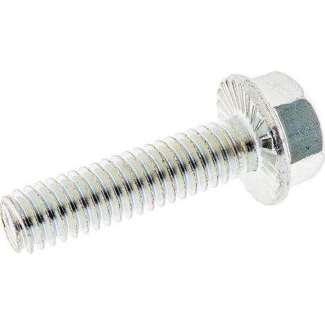 Vis BRIGGS ET STRATTON 1930595SM (1/2)