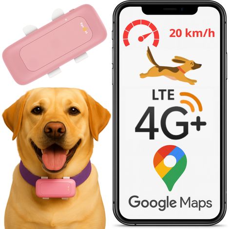 Localizzatore GPS S26L 4G Rosa