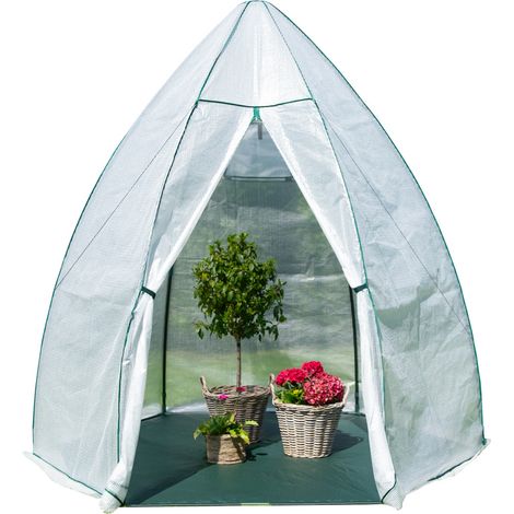Westmann Tente d'hivernage & serre en film plastique Avocado Blanc 250x250x250 cm (1/5)