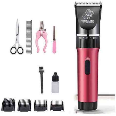 Tondeuse à poils d'animaux, professionnelle, ultra silencieuse, rechargeable, sans fil, pour chat et chien, rasoir professionnel-Chrom (1/5)