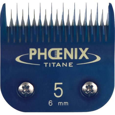 Tête de coupe N°5 Phoenix Céramique