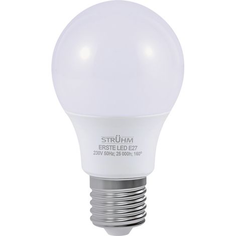 Ampoule LED boule E27 10W 1110 lm lumière froide ERSTE Struhm (1/2)