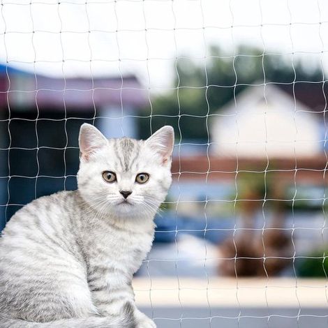 Rete per gatti da balcone 6 x 3 m Rete per gatti per balcone o finestra Facile da montare Sistema di recinzione per gatti Rete per gatti Rete di sicurezza per gatti per balcone o finestra (1/5)