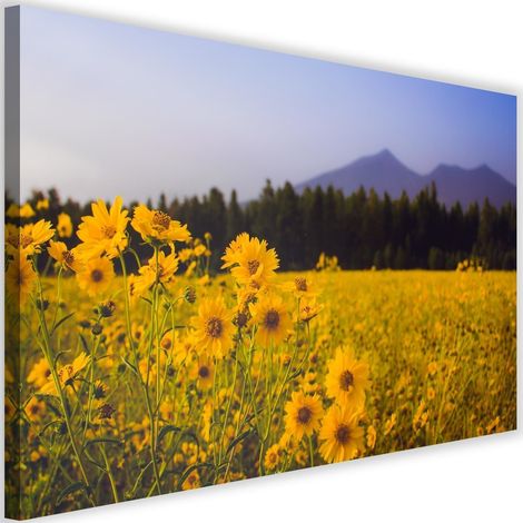 Tableau sur toile Prairie avec fleurs jaunes Montagne 60x40 (1/5)