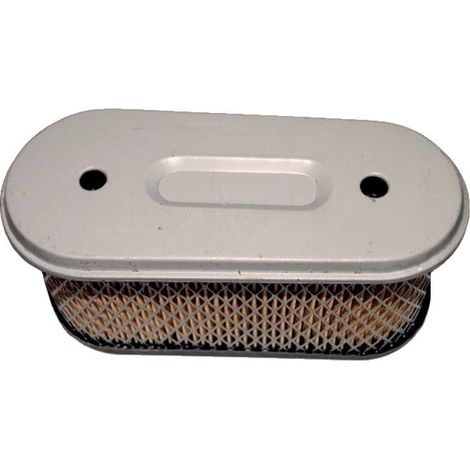 Filtro Air BRIGGS et STRATTON 491021