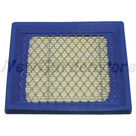 Filtro de aire Briggs y Stratton - 399877S
