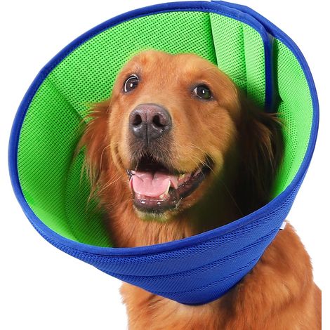 Collerette Chien, Collerette Souple et Légère pour Chien, Collerettes pour Chiens Anti Lechage et Grattage, Ajustable Collier de Récupération Chiens, Cône de Cicatrisation Respirant Taille M