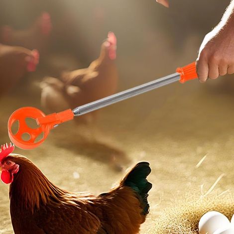 Eiersammler, ausziehbares Eiersammelgerät, multifunktionaler und langlebiger Eiersammler für den Garten (1/4)