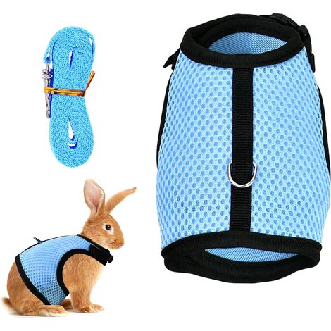 1 Harnais,Laisse Élastique,Gilet Souple,Nylon,Petit Animal,Extérieur