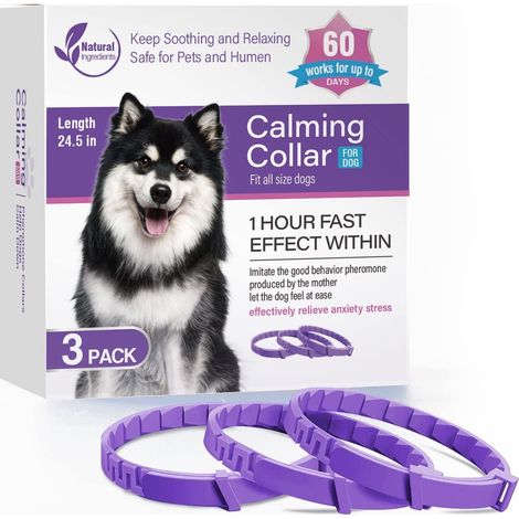 Colliers apaisants pour chats et chiens - Lot de 3, violets. (1/4)