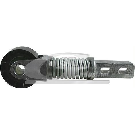 3RG 10619 RODILLO TENSOR