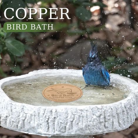 Disque de cuivre pour bain d'oiseaux, disque de nettoyage en cuivre, accessoires pour mangeoire, support triple point, plaque purificatrice pour fontaine de jardin ou bassin de terrasse (1/5)