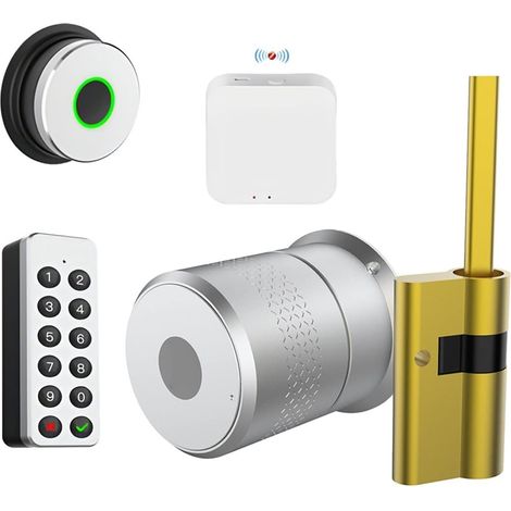 Serrure de Porte Intelligente Serrure Intelligente Tuya TTlock Cylindre d'empreintes digitales Bluetooth for Porte 50-100mm épaisseur Support WiFi Serrure for Maison Intelligente (Color : M521 Gatway (1/5)