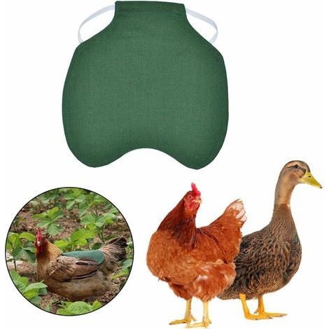 3PCS Gilet pour Animaux De Compagnie, Vêtements De Poulet, Tablier De Selle De Poule De Volaille, Support De Protection De Plume De Gilet De Poulet Réglable Vert (1/5)