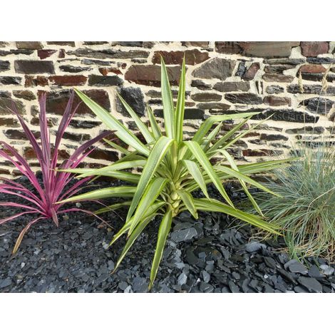 Classgarden – Paillage ardoise noir 10-40 mm – Big Bag 1000 kg – Surface couverte 17 m² – Épaisseur recommandée 3 cm - NOIR 10-40 (1/5)