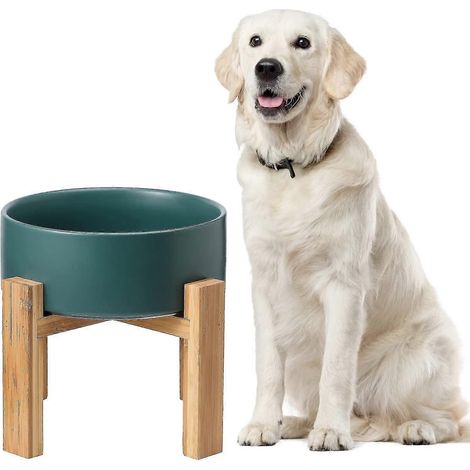 Gamelle surélevée en céramique blanche pour chat, plateau pour nourriture avec support, gamelle surélevée pour eau ou nourriture anti-venin, gamelle pour animaux avec tapis antidérapant en caoutchouc