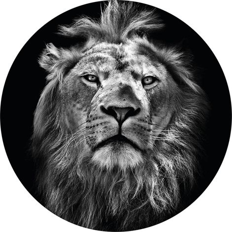 Papier peint panoramique rond lion noir & blanc | Tapisserie panoramique 3D ronde animaux | Papier peint panoramique animaux idéal chambre - 140 x 140 cm (3 pièces) (1/2)