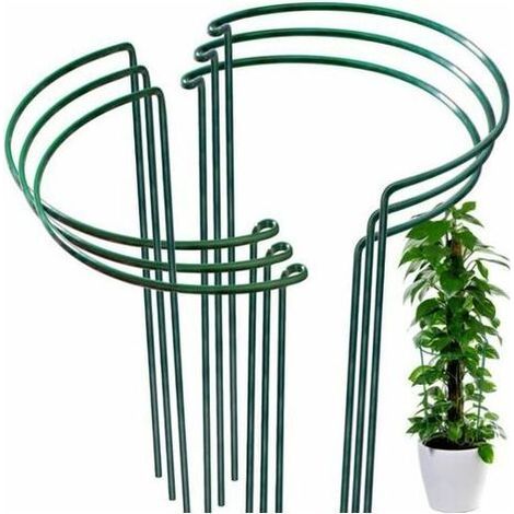Tuteurs pour plantes grimpantes et fleurs - 10 supports de 25 x 40 cm pour jardin (1/5)