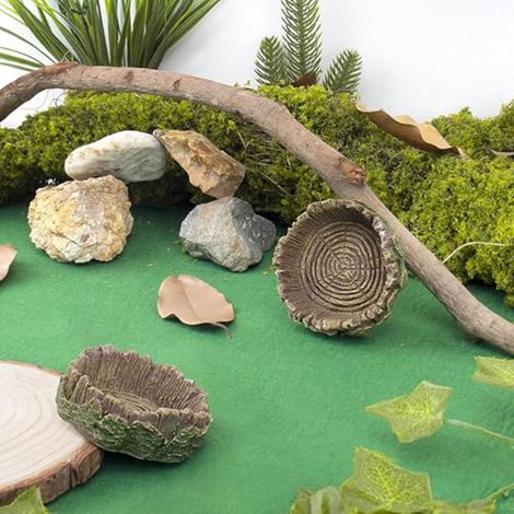 Gamelle pour reptiles - Gamelle pour reptiles - Abreuvoir - Décoration pour terrarium - Souche artificielle - 7 x 7 x 2 cm - Convient aux petits reptiles, dragons barbus, geckos, lézards, grenouilles (1/5)