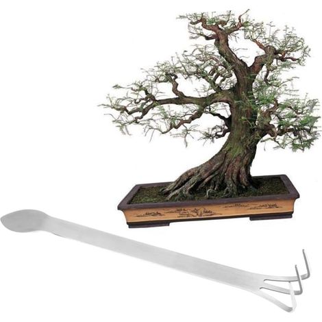 Râteau à Trois Dents en Acier Inoxydable Argenté, Mini Taille Antirouille pour Jardinage de Plantes en Pot et Petits Jardins de Fleurs (1/5)