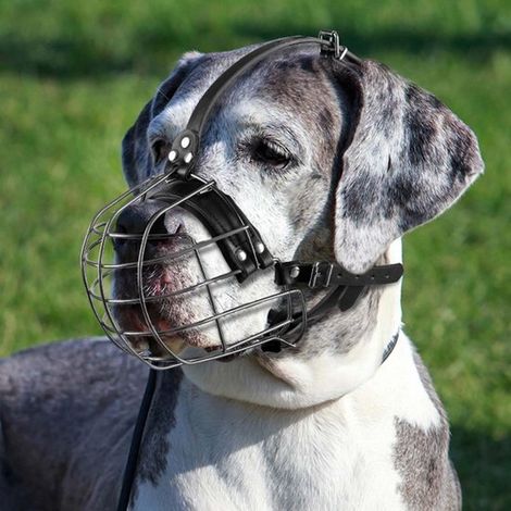 Dailygoods Metallmaulkorb für Hunde mit Lederriemen Pitbull Deutsche Dogge Rottweiler sicherer Drahtkorb atmungsaktiv verstellbare Passform für (1/5)