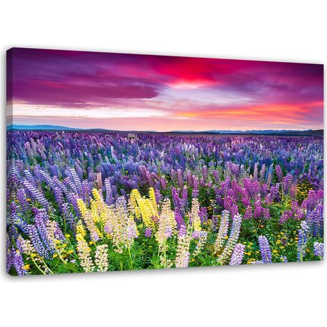 Tableau, Prairie en fleurs - 90x60 (1/5)