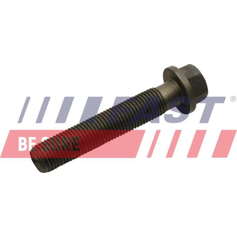 Tornillo de biela de conexión rápida FT51653 (1/2)