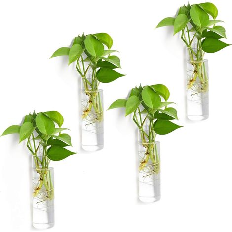 (Lot de 4) Pots de Fleurs muraux en Verre à Suspendre, Terrarium en Verre, vases muraux Parfaits pour la Propagation de Plantes hydroponiques pour (1/5)
