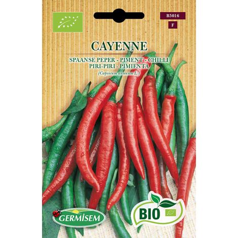 Graines Piment CAYENNE (1/2)