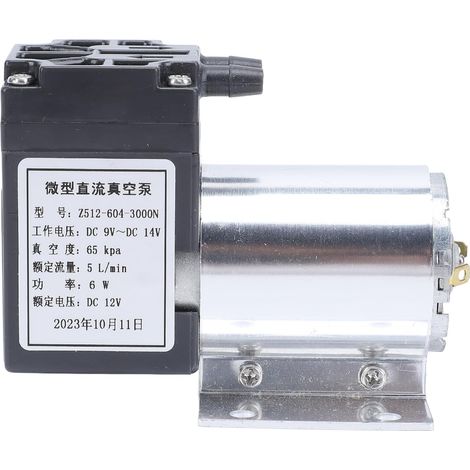 Pompe à Vide Entraînée par Moteur 12 V pour Usage Industriel (1/5)