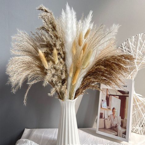 Herbe De La Pampa Séchée Naturelle - Bouquet Décoratif Bohème - Pour Vase Et Mariage - Lot De 8 Tiges (1/5)