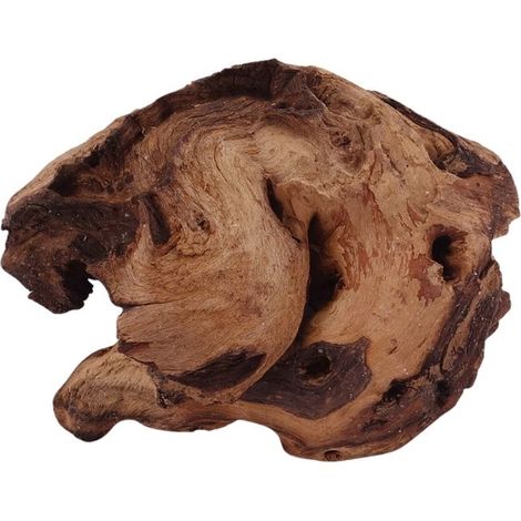 M Mopani Wurzel Nr.2731 Holz Deko Aquascaping